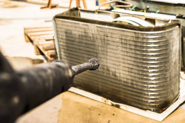 Best Air Duct Sanitizing Services  in Hastings, MI