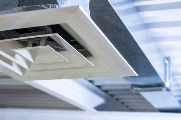 Best HVAC System Cleaning  in Hastings, MI