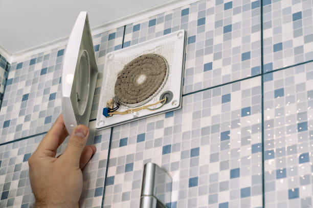 Best Local Air Duct Cleaning Services  in Hastings, MI
