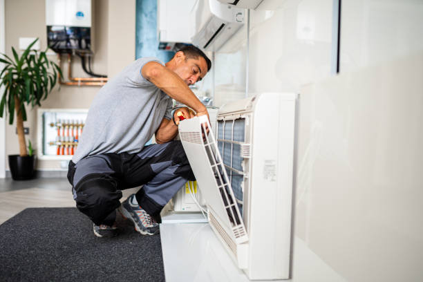 Best Affordable Duct Cleaning Services  in Hastings, MI