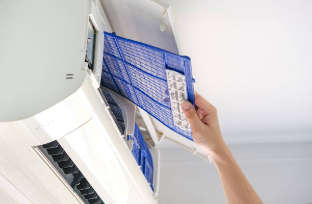 Best Duct Cleaning Specialists  in Hastings, MI