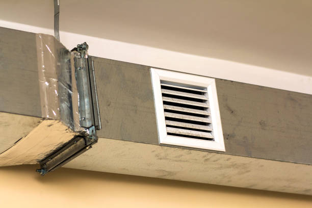Best Ventilation Cleaning Services  in Hastings, MI