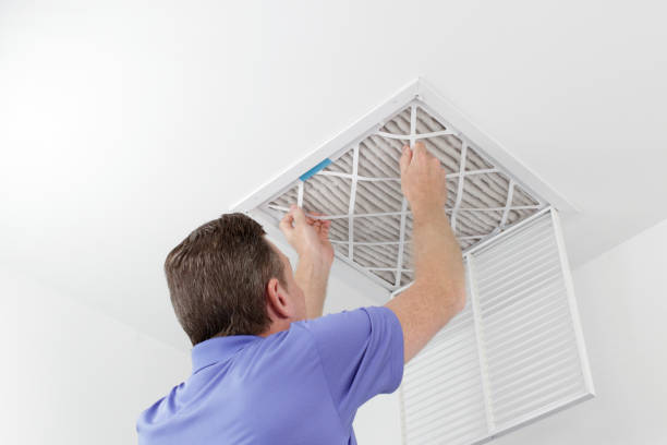 Best Emergency Air Duct Cleaning  in Hastings, MI